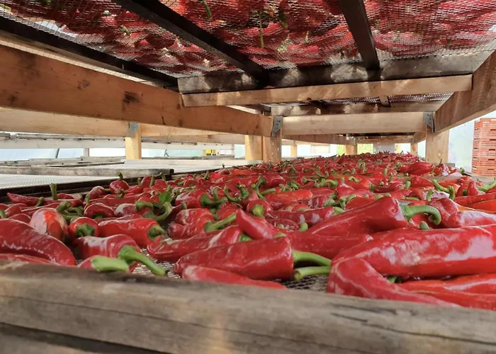 Irazabal Beheria Apartament